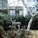 Парк в городе Пластуновская