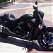 Harley Davidson in Cabo San Lucas city