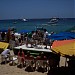 Mango Deck in Cabo San Lucas city
