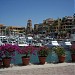 Cabos San Lucas Marina in Cabo San Lucas city