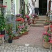 Blumenfee Floristikatelier in Stadt Dresden