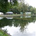 Гончаровский пруд в городе Москва
