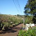 Visão do Cruzamento na Rolândia city