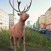 Скульптура северного оленя в городе Норильск