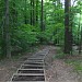 Adell Durbin Park and Arboretum