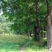 Skaidiškių parkas yra Skaidiškės mieste