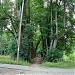 Skaidiškių parkas yra Skaidiškės mieste