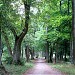Skaidiškių parkas yra Skaidiškės mieste