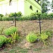 Skaidiškių kapinės yra Skaidiškės mieste