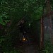 Пионерлагерь «Голубой Факел» в городе Домодедово