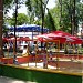 Parcul 