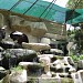 Jardin Zoologico Bararida en la ciudad de Barquisimeto