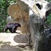 Jardin Zoologico Bararida en la ciudad de Barquisimeto