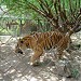 Jardin Zoologico Bararida en la ciudad de Barquisimeto