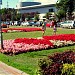 Molo Południowe in Gdynia city