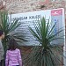 Eskihisar Kalesi in Gebze İlçesi city