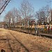 весьма оригинальный забор! (ru) in Changwon city