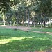 Запрудский парк у Московской заставы в городе Коломна