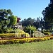 NAMAN BASTAR in Jagdalpur city