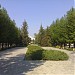 Фонтанная аллея в городе Волжский