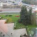 Сад в городе Москва