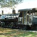 Miller Lumber Company Steam Locomotive with Flat Car and Caboose 