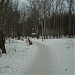 Площадка «Пять дубов» в городе Москва