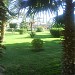 The green territory..... (en) في ميدنة الغردقة    