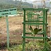 Kawasan Hutan Kota Pacitan di kota Pacitan
