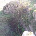 Nuraghe S'Uraki o S'Urachi