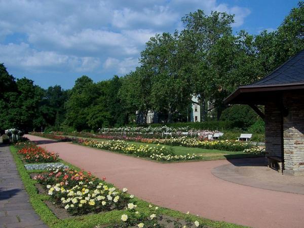 Jardim das Rosas Dresden Jardim das Rosas Dresden