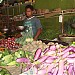 Fresh Vegetables & Fruits in Sri Jayawardenapura Kotte city