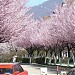 Petrosani