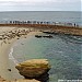 La Jolla Children's Pool in San Diego, California city