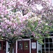 Le Petit Hameau (fr) in Mont-Tremblant, Saint-Jovite sector city
