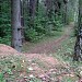 Бывший песчаный карьер в городе Домодедово
