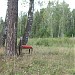 Бывший песчаный карьер в городе Домодедово