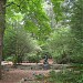 Theodore Roosevelt Sanctuary & Audubon Center in Oyster Bay Cove, New York city