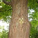 Theodore Roosevelt Sanctuary & Audubon Center in Oyster Bay Cove, New York city
