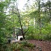 Theodore Roosevelt Sanctuary & Audubon Center in Oyster Bay Cove, New York city