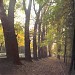 Alytus public garden in Alytus city