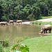 Zooparque Itatiba na Itatiba city