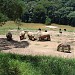 Zooparque Itatiba na Itatiba city