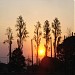 Fundo de Vale (Ouro Fino) na Rolândia city