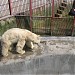 Екатеринбургский зоопарк в городе Екатеринбург