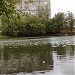 Антропов (Селезнёвский) пруд в городе Москва