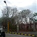 Familia Luzuriaga Cemetery in Bacolod city