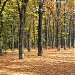 Parcul Expozitiei în Municipiul Iaşi oraş