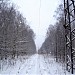 Просека ЛЭП в городе Москва