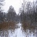 Заболоченный участок в городе Москва